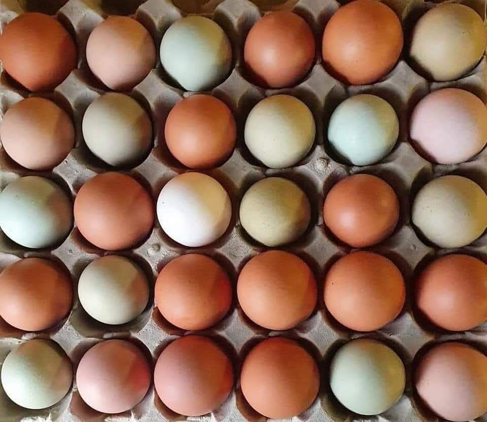 Ägg från gårdens egna höns i gårdsbutiken